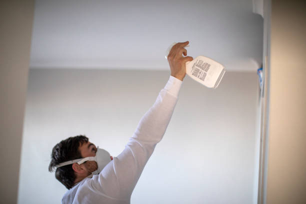 Best Residential Mold Removal  in Warrenvle, IL