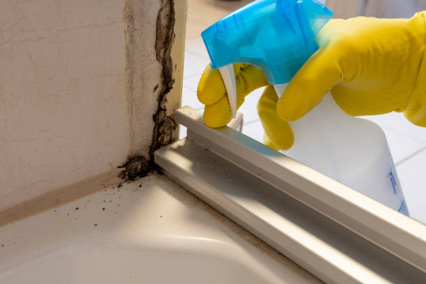 Best Mold Testing  in Warrenvle, IL