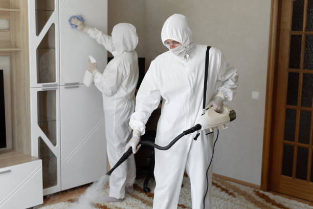 Best Professional Mold Removal  in Warrenvle, IL